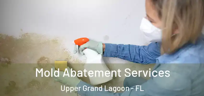  Mold Abatement Services Upper Grand Lagoon - FL