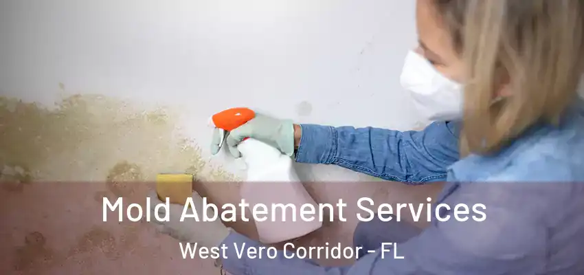  Mold Abatement Services West Vero Corridor - FL