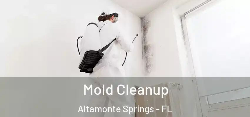  Mold Cleanup Altamonte Springs - FL