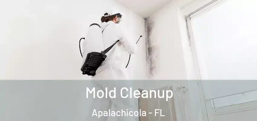  Mold Cleanup Apalachicola - FL