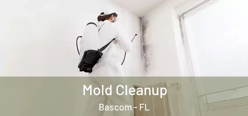 Mold Cleanup Bascom - FL