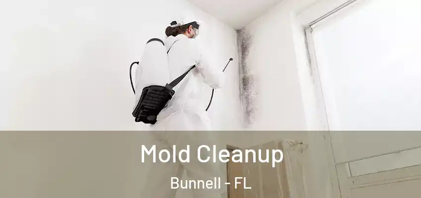  Mold Cleanup Bunnell - FL