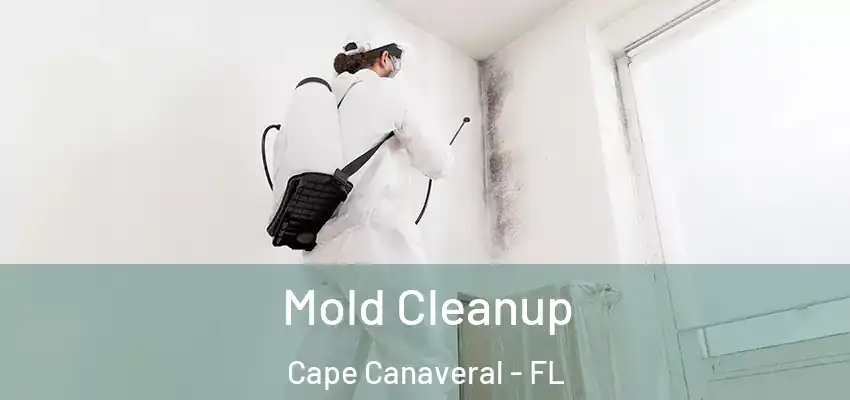  Mold Cleanup Cape Canaveral - FL