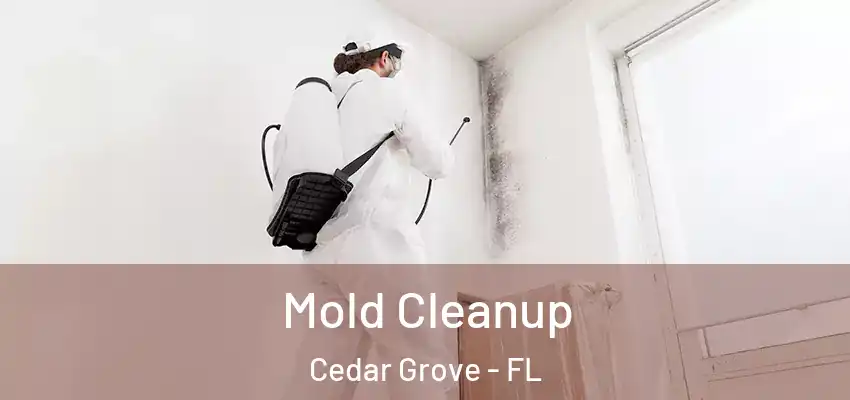  Mold Cleanup Cedar Grove - FL