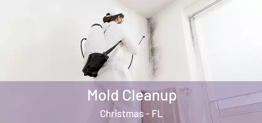  Mold Cleanup Christmas - FL