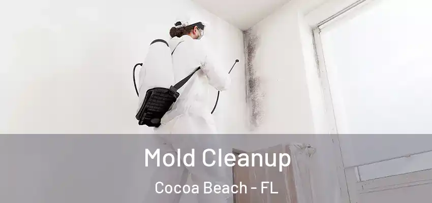  Mold Cleanup Cocoa Beach - FL