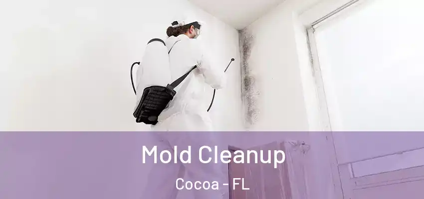  Mold Cleanup Cocoa - FL