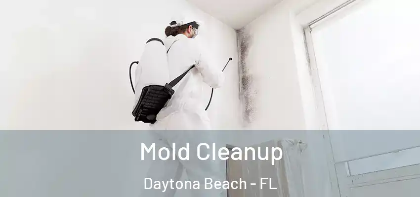  Mold Cleanup Daytona Beach - FL