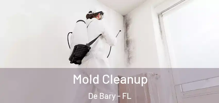  Mold Cleanup De Bary - FL