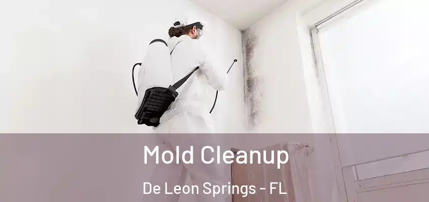  Mold Cleanup De Leon Springs - FL