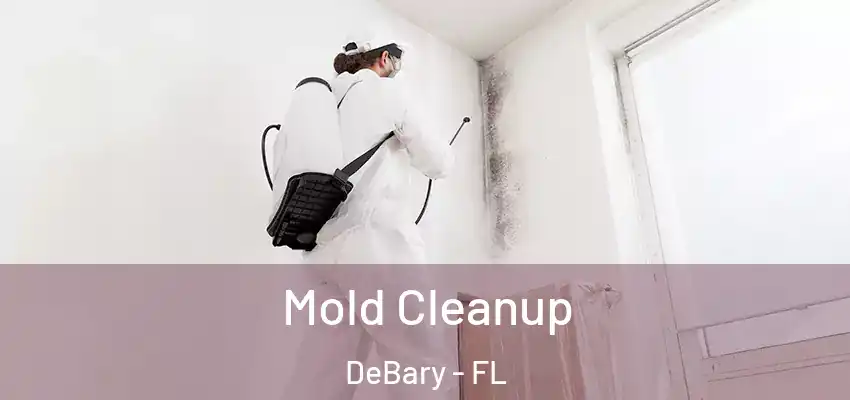 Mold Cleanup DeBary - FL