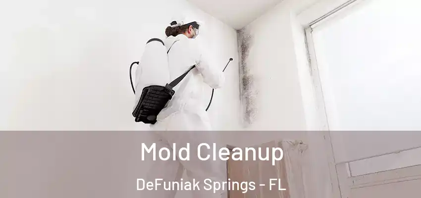  Mold Cleanup DeFuniak Springs - FL
