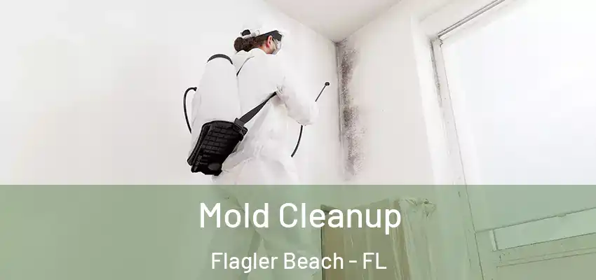  Mold Cleanup Flagler Beach - FL