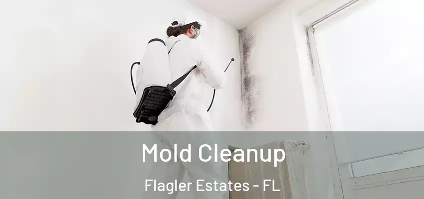  Mold Cleanup Flagler Estates - FL