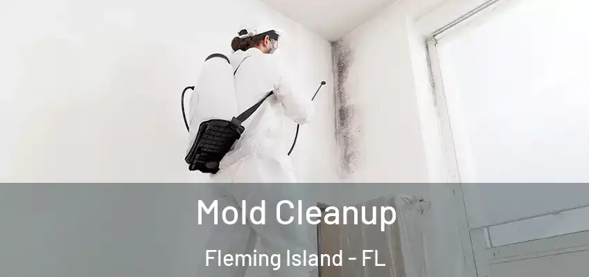 Mold Cleanup Fleming Island - FL