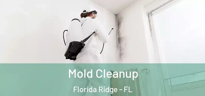 Mold Cleanup Florida Ridge - FL