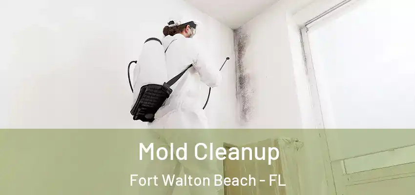  Mold Cleanup Fort Walton Beach - FL