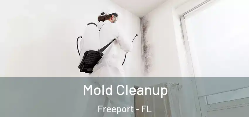  Mold Cleanup Freeport - FL