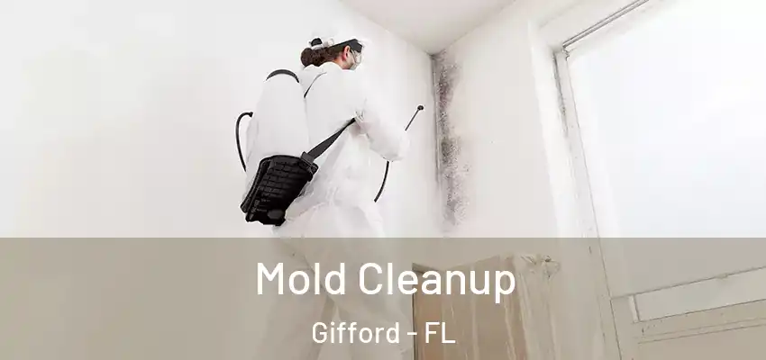  Mold Cleanup Gifford - FL