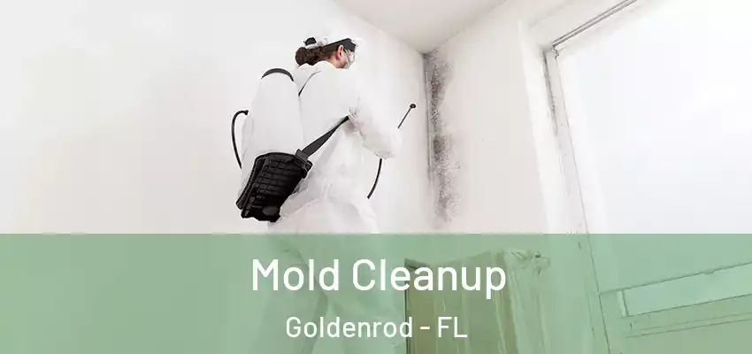 Mold Cleanup Goldenrod - FL