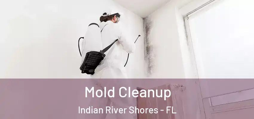  Mold Cleanup Indian River Shores - FL