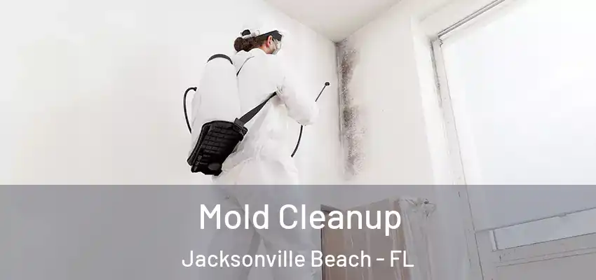  Mold Cleanup Jacksonville Beach - FL