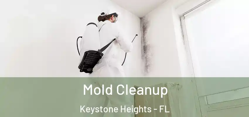  Mold Cleanup Keystone Heights - FL