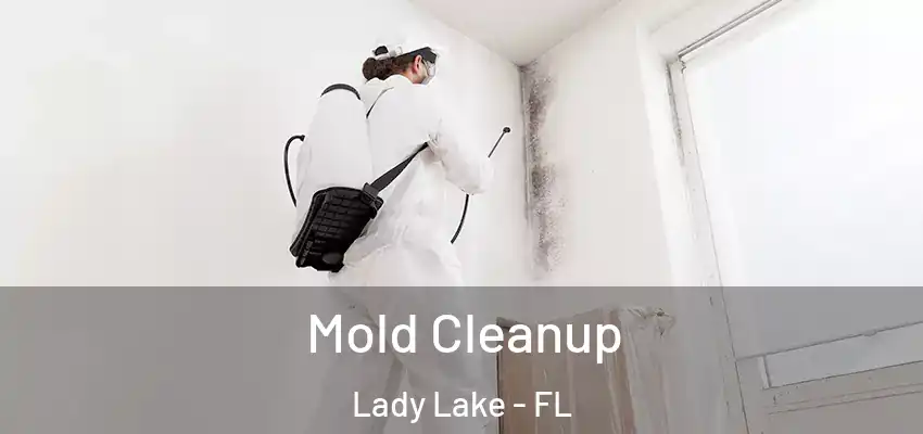  Mold Cleanup Lady Lake - FL