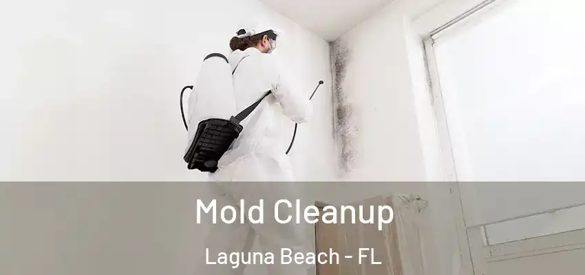  Mold Cleanup Laguna Beach - FL
