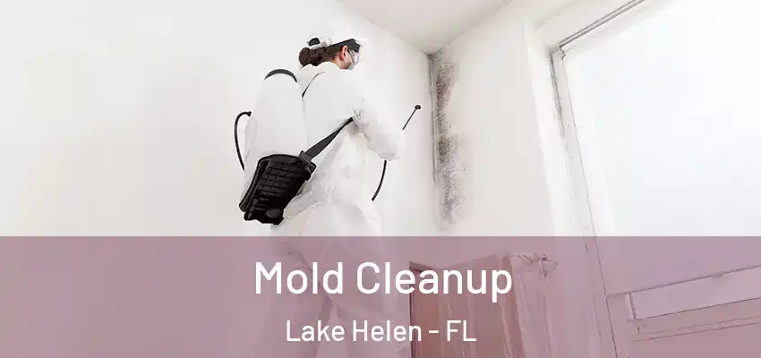 Mold Cleanup Lake Helen - FL