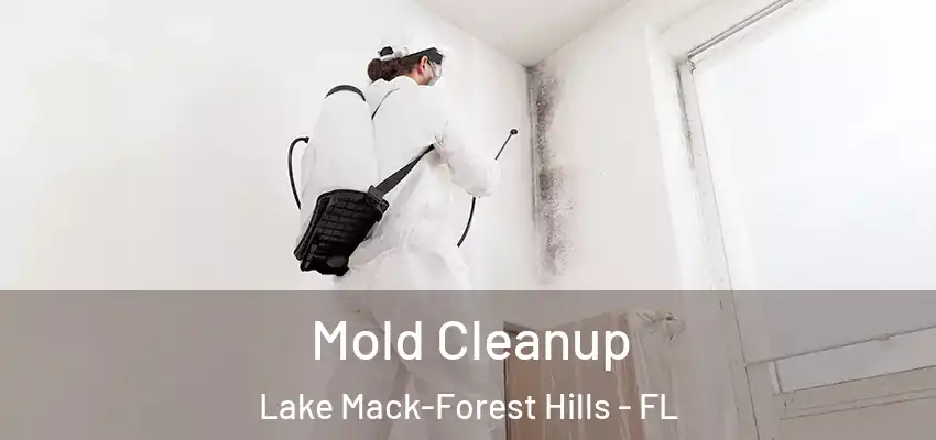  Mold Cleanup Lake Mack-Forest Hills - FL