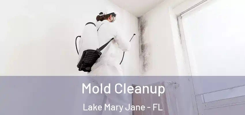 Mold Cleanup Lake Mary Jane - FL