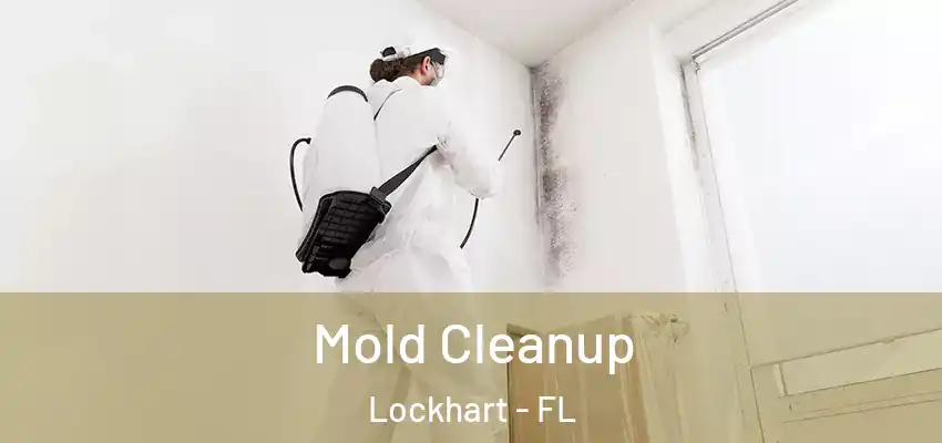  Mold Cleanup Lockhart - FL