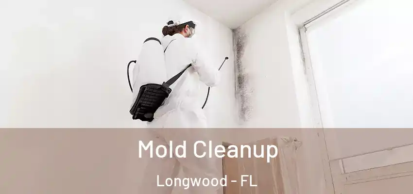 Mold Cleanup Longwood - FL