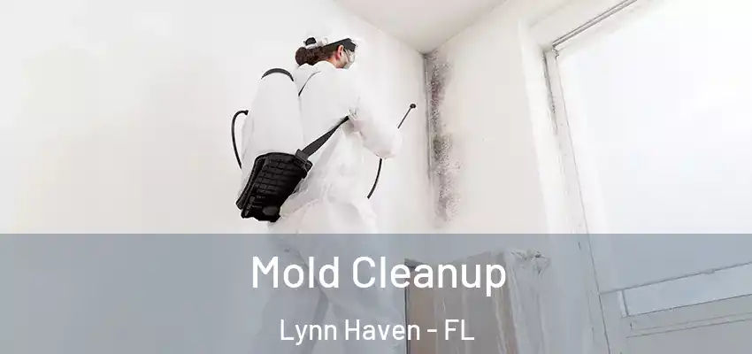  Mold Cleanup Lynn Haven - FL