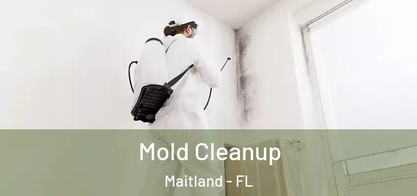  Mold Cleanup Maitland - FL
