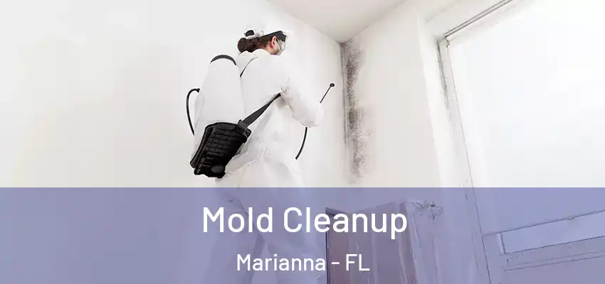  Mold Cleanup Marianna - FL