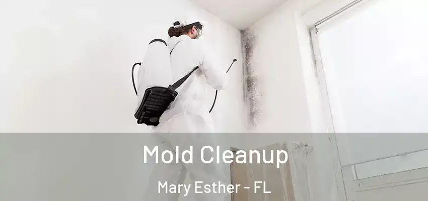 Mold Cleanup Mary Esther - FL