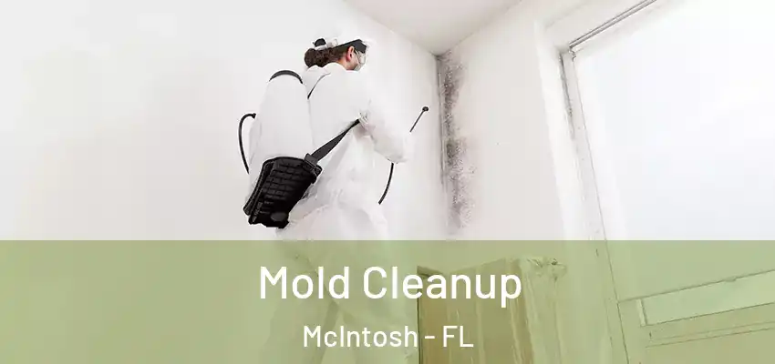  Mold Cleanup McIntosh - FL