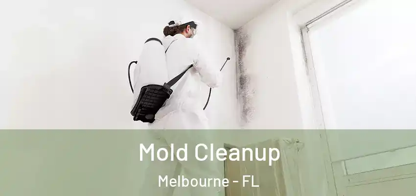 Mold Cleanup Melbourne - FL