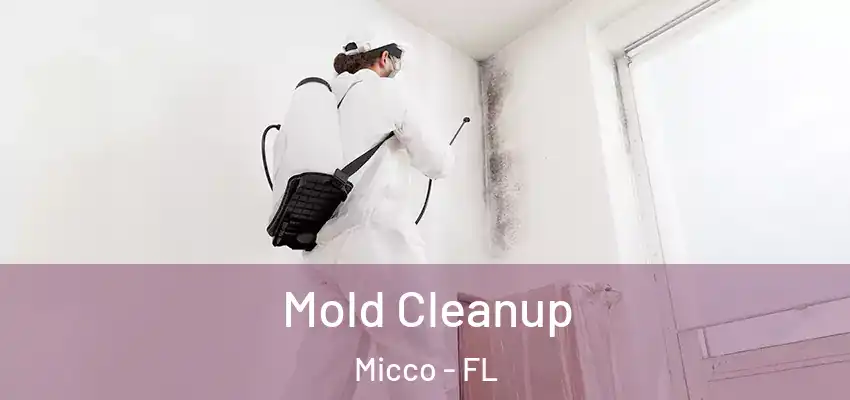  Mold Cleanup Micco - FL
