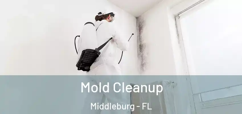  Mold Cleanup Middleburg - FL