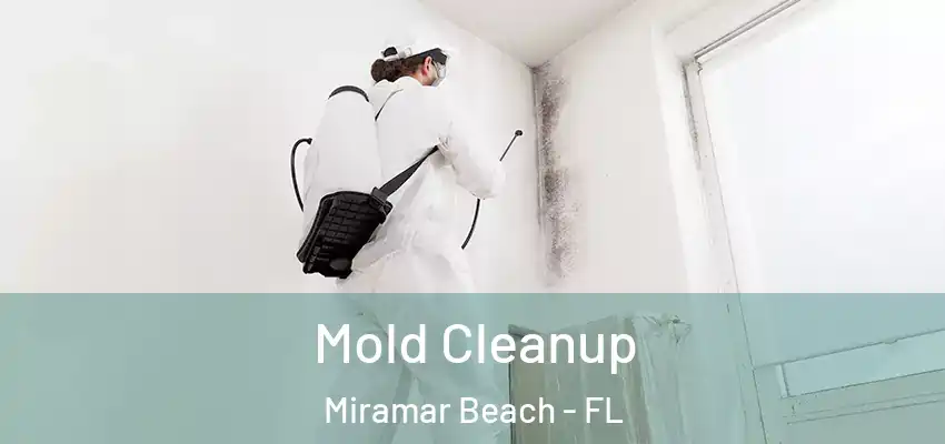  Mold Cleanup Miramar Beach - FL