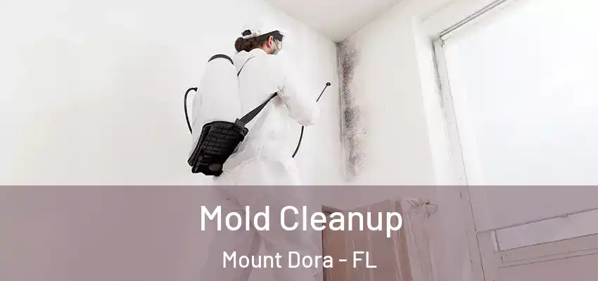 Mold Cleanup Mount Dora - FL