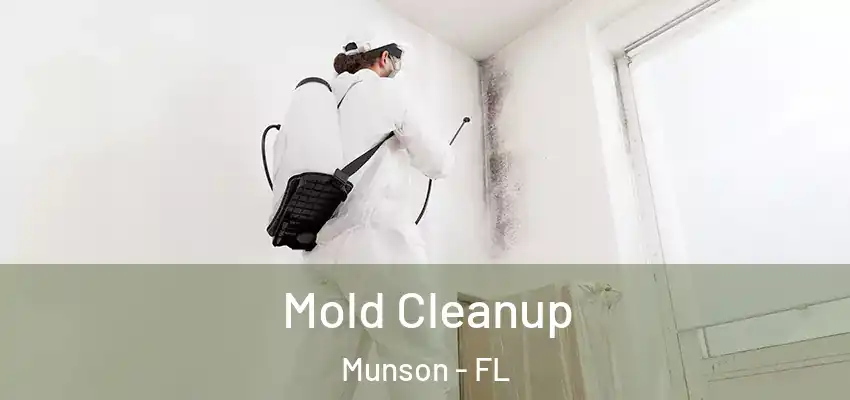  Mold Cleanup Munson - FL