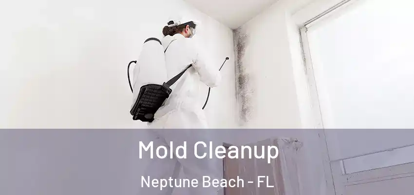 Mold Cleanup Neptune Beach - FL