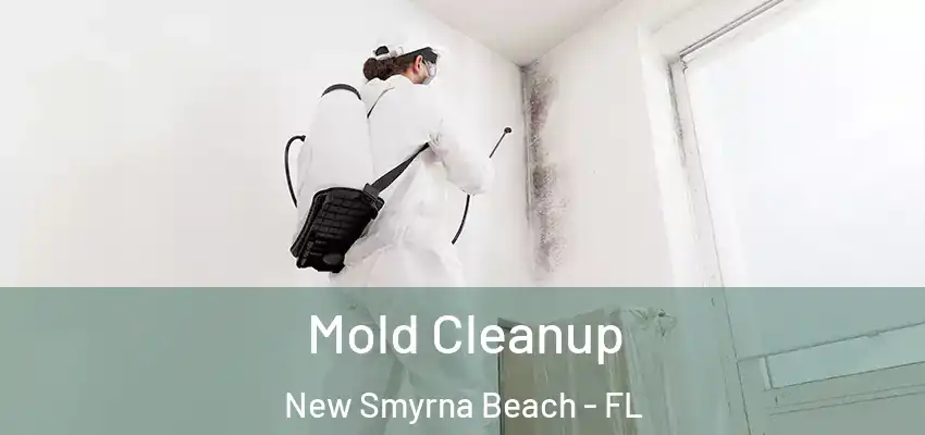 Mold Cleanup New Smyrna Beach - FL