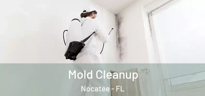 Mold Cleanup Nocatee - FL