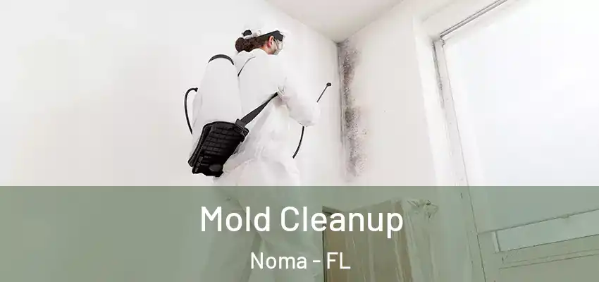  Mold Cleanup Noma - FL