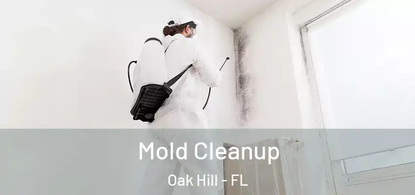  Mold Cleanup Oak Hill - FL